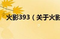 火影393（关于火影393的基本详情介绍）