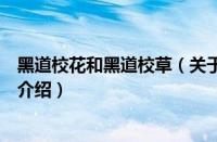 黑道校花和黑道校草（关于黑道校花和黑道校草的基本详情介绍）