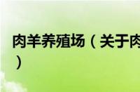 肉羊养殖场（关于肉羊养殖场的基本详情介绍）
