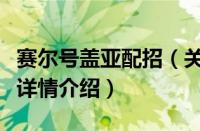 赛尔号盖亚配招（关于赛尔号盖亚配招的基本详情介绍）