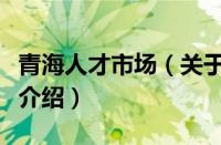 青海人才市场（关于青海人才市场的基本详情介绍）