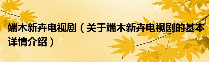 端木新卉电视剧（关于端木新卉电视剧的基本详情介绍）