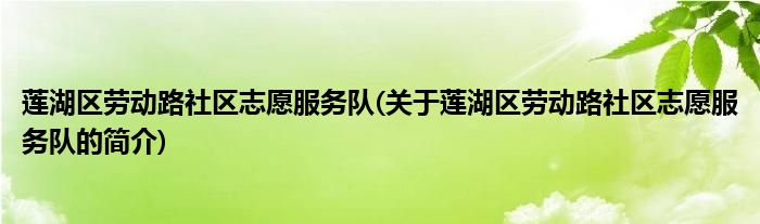 莲湖区劳动路社区志愿服务队(关于莲湖区劳动路社区志愿服务队的简介)