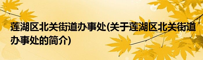 莲湖区北关街道办事处(关于莲湖区北关街道办事处的简介)