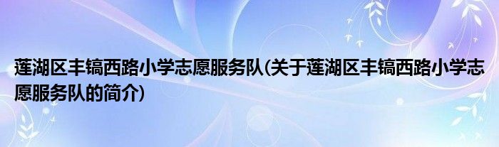 莲湖区丰镐西路小学志愿服务队(关于莲湖区丰镐西路小学志愿服务队的简介)