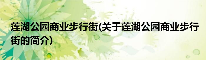 莲湖公园商业步行街(关于莲湖公园商业步行街的简介)