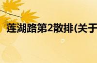 莲湖路第2散排(关于莲湖路第2散排的简介)