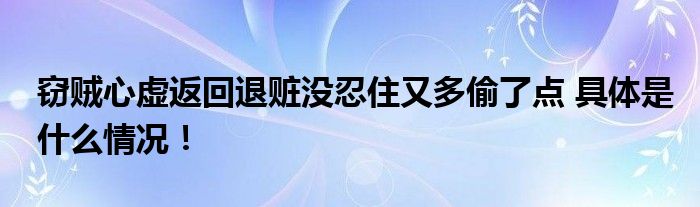 窃贼心虚返回退赃没忍住又多偷了点 具体是什么情况！