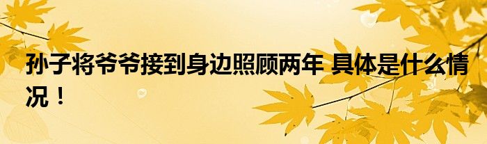 孙子将爷爷接到身边照顾两年 具体是什么情况！