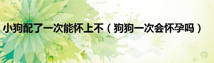 小狗配了一次能怀上不（狗狗一次会怀孕吗）