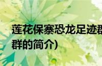 莲花保寨恐龙足迹群(关于莲花保寨恐龙足迹群的简介)