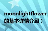 moonlightflower（关于moonlightflower的基本详情介绍）