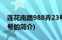 莲花南路988弄23号(关于莲花南路988弄23号的简介)