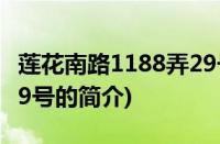 莲花南路1188弄29号(关于莲花南路1188弄29号的简介)