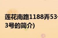 莲花南路1188弄53号(关于莲花南路1188弄53号的简介)