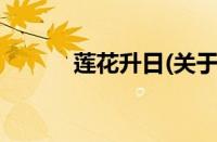 莲花升日(关于莲花升日的简介)