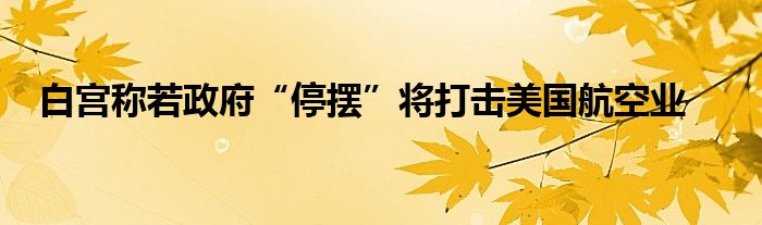 白宫称若政府“停摆”将打击美国航空业