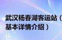 武汉杨春湖客运站（关于武汉杨春湖客运站的基本详情介绍）