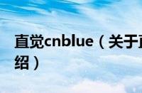 直觉cnblue（关于直觉cnblue的基本详情介绍）