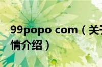 99popo com（关于99popo com的基本详情介绍）