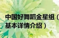 中国好舞蹈金星组（关于中国好舞蹈金星组的基本详情介绍）