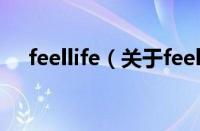 feellife（关于feellife的基本详情介绍）