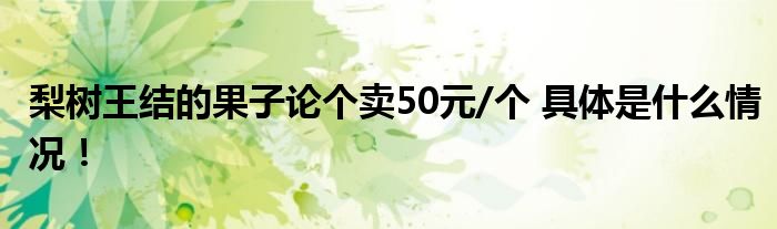 梨树王结的果子论个卖50元/个 具体是什么情况！