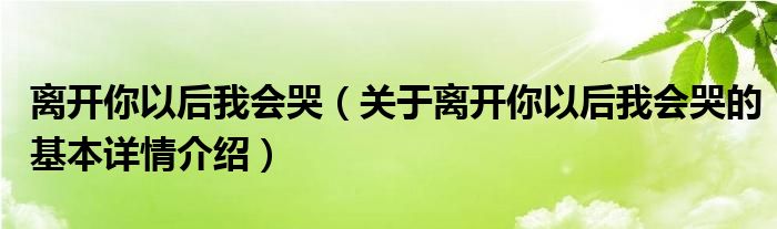 离开你以后我会哭（关于离开你以后我会哭的基本详情介绍）