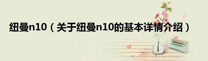 纽曼n10（关于纽曼n10的基本详情介绍）