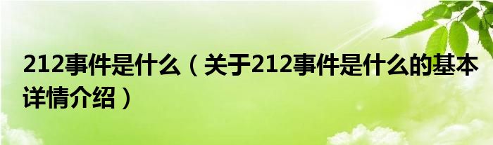 212事件是什么（关于212事件是什么的基本详情介绍）