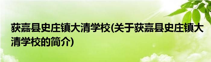 获嘉县史庄镇大清学校(关于获嘉县史庄镇大清学校的简介)