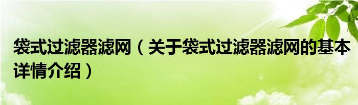 袋式过滤器滤网（关于袋式过滤器滤网的基本详情介绍）