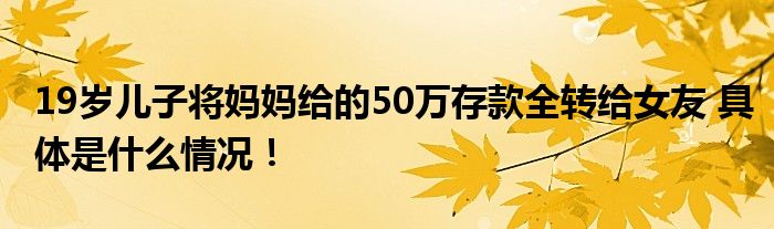 19岁儿子将妈妈给的50万存款全转给女友 具体是什么情况！