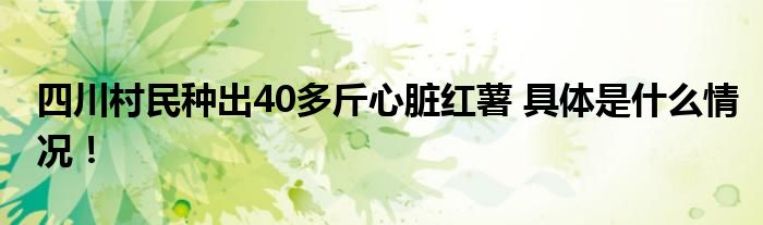 四川村民种出40多斤心脏红薯 具体是什么情况！