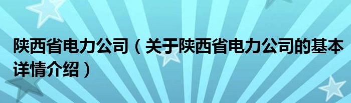 陕西省电力公司（关于陕西省电力公司的基本详情介绍）