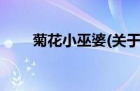 菊花小巫婆(关于菊花小巫婆的简介)