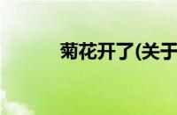 菊花开了(关于菊花开了的简介)