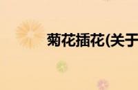 菊花插花(关于菊花插花的简介)