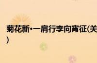 菊花新·一肩行李向宵征(关于菊花新·一肩行李向宵征的简介)