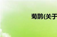 菊鹊(关于菊鹊的简介)
