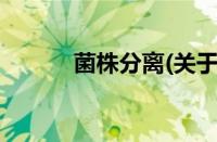 菌株分离(关于菌株分离的简介)