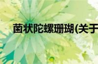 菌状陀螺珊瑚(关于菌状陀螺珊瑚的简介)