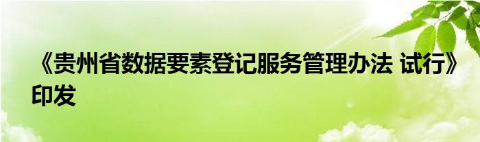 《贵州省数据要素登记服务管理办法 试行》印发