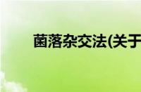 菌落杂交法(关于菌落杂交法的简介)