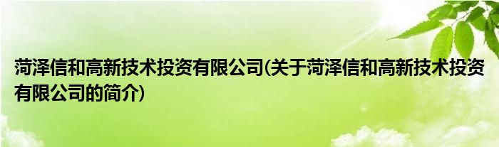 菏泽信和高新技术投资有限公司(关于菏泽信和高新技术投资有限公司的简介)