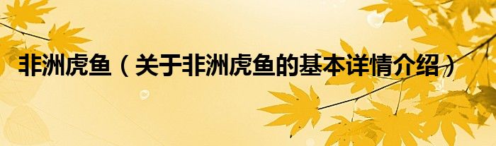 非洲虎鱼（关于非洲虎鱼的基本详情介绍）