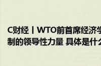 C财经丨WTO前首席经济学家：中国应成为推进多边贸易体制的领导性力量 具体是什么情况！
