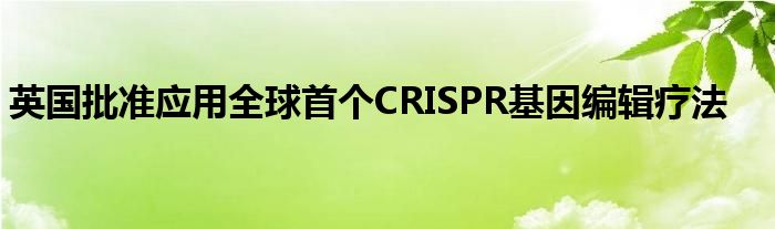 英国批准应用全球首个CRISPR基因编辑疗法