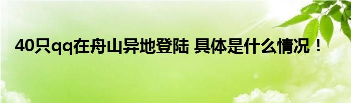 40只qq在舟山异地登陆 具体是什么情况！