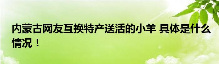 内蒙古网友互换特产送活的小羊 具体是什么情况！